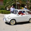 Montevago 2010 (292)
